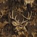 Mitchell Plautz - Facebook