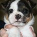 Mitchell Poe - Facebook