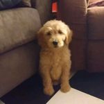 Cheryll Purcell Mitchell - @cheryll.purcellmitchell - Instagram