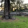 Mitch - @mitchell_randall - TikTok