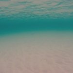 Mitchell James Randall - @mjr_photography - Instagram