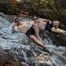 Mitchell Randall - Facebook