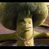 Mitchell Randall - @mitchellrandall5 - TikTok
