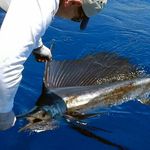 Mitchell Ray Ballard - @mitchfishin - Instagram