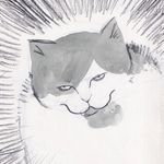 Mitchard - @mitchellreber - Instagram
