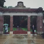 Mitchell Rees - @mitchell.rees.54 - Instagram