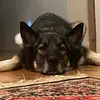 mitchellreinbolt - @mitchellreinbolt - TikTok