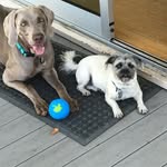 Mitchell Reiner - @mitchell.reiner - Instagram