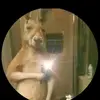 Mitchell Reyes - @mitchellreyes33 - TikTok