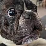 Mitchell Roach - @mitchellroach90 - Instagram