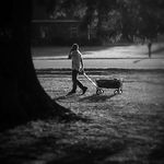Mitchell Robbins - @robbins.mitchell - Instagram
