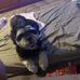 Mitchell Robinson - Facebook