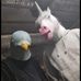 Mitchell Rowley - Facebook
