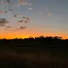 Mitchell_RUF•186 - @mitchell09_ruf_186 - TikTok