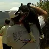 mitchellsack - @mitchellsack - TikTok