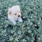 mitchell Salmon - @missurgurlisfine - Instagram