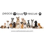 Mitchell Saltzman - @weloverescuesusa - Instagram