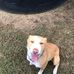 Mitch Samuels - Facebook