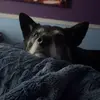 Mitchell Samuels - @mitchell.samuels42 - TikTok
