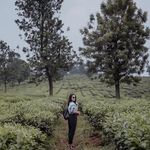 Mitchell Sanchez - @blackswan646blackswan646blacks - Instagram