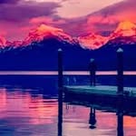 Mitchell Saunders - @mitchtortella - Instagram