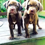 mitchell saunders brown - @mitchellsaundersbrown - Instagram