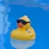 mitchell_schaeffer - @mitchell_schaeffer - TikTok