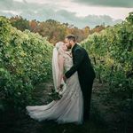 Mitchell Schafer - @schafer.party.of.4 - Instagram