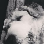 Mitchell Schmidt - @mitchellchristopherschmidt - Instagram