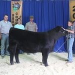 Mitchell Schmidt - @mitchellschmidt5802 - Instagram