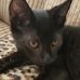 Mitchell Scoggins - Facebook