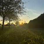 Mitchell Sell - @mitchellsell - Instagram