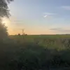Mitchell Sell - @mitchellsell - TikTok