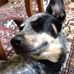 Mitchell Sheehan - Facebook