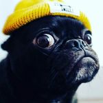 Mitchell sheehan - @mitc.hell2306 - Instagram