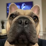 Mitchell Shepard - @mitchell.shepard02 - Instagram
