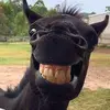 mitchelle skelton - @mitchelle.skelton - TikTok