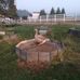 Steven Mitchell - Facebook