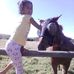 Steven Mitchell Andreas - Facebook