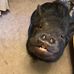 Porkchop mitchell-stull - Facebook