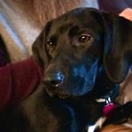 Kya Roo Mitchell-Sutton - @kya.roo - Instagram