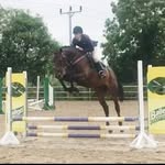 Lisa Mitchell talbot - @ballinderryequestrian_19 - Instagram