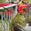 Thomas Mitchell - @thomas.mitchell096 - TikTok