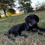 Thorpe Mitchell - @thorpe.mitchell04 - Instagram