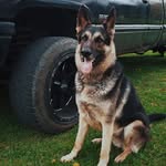 Mitchell  vaillancourt - @mitchellvaillancourt - Instagram