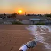 Mitchell Walter - @_mitch.tripps_ - TikTok