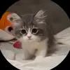 Walter Mitchell - @walter.mitchell28 - TikTok