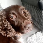 Mitchell Whitehead - @mitchellwhitehead15 - Instagram