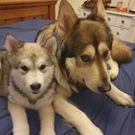 Mitchell Wiggins - @mitchell2638189474 - Instagram