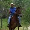 Mitch Willard337 - @mitchwillard1959 - TikTok